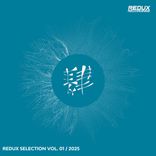 Artwork for "Redux Selection, Vol. 1 / 2025"