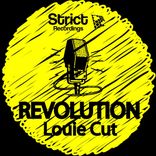 Artwork for "Revolution"