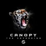 Artwork for "Canopy"