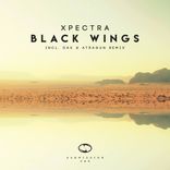 Artwork for "Black Wings"