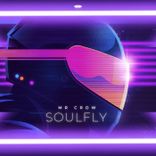 Artwork for "Soulfly"