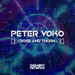 Artwork for "Rose and Thorn"