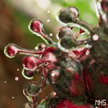 Artwork for "Moraines"