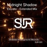 Artwork for "Elevate"