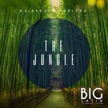 Artwork for "The Jungle"