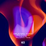 Artwork for "Life in Shockwaves"