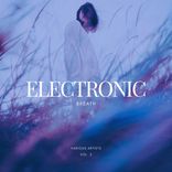 Artwork for "Electronic Breath, Vol. 2"