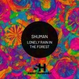 Lonely Rain in the Forest