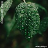 Artwork for "Mountain Rain Chorus: Swiss Alps"