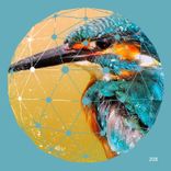 Artwork voor "Power Birds"