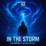 Artwork for "In The Storm"