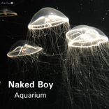 Artwork for "Aquarium"