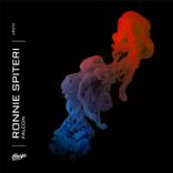 Artwork for "Falcon"