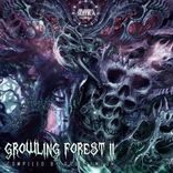 Artwork for "VA Growling Forest II"