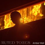 Artwork for "Amber Wall"