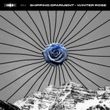 Artwork for "Winter Rose"