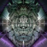 Artwork voor "Unleashed"