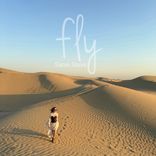 Artwork for "Fly"