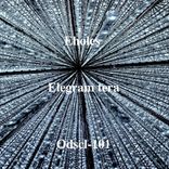 Artwork voor "Eholes"