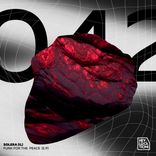 Artwork for "Funk For The Peace"