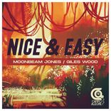 Artwork voor "Nice & Easy"