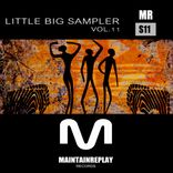 Portada para "Little Big Sampler, Vol. 11"