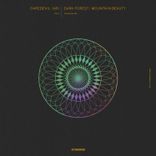 Artwork for "Dark Forest / Mountain Beauty"