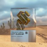 Artwork for "Lat Uljhi"