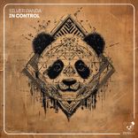Artwork for "In Control"