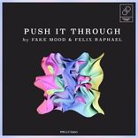 Portada para "Push it through"