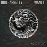 Artwork für "Want It"