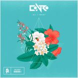 Artwork voor "All I Want"