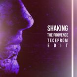 Artwork voor "Shaking (Teceprom Edit)"