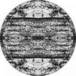 Artwork for "Author"