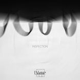 INscpection