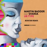 Artwork for "Ur Type (Bontan Remix)"