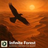 Running Through the Desert