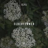 Artwork for "Elderflower"