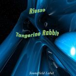 Portada para "Tangerine Rabbit"