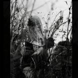 Artwork for "Choledark"