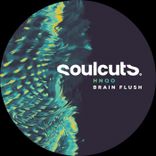 Artwork for "Brain Flush"