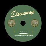 Artwork for "That Magical Night"