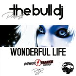 Artwork for "Wonderful Life"