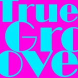 Portada para "True Groove"