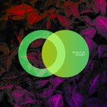 Artwork for "Daylight"