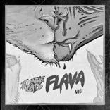 Artwork for "FLAVA VIP"