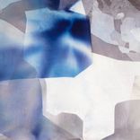 Portada para "Conductor"