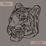 Artwork voor "Fairy On Night"