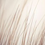 Artwork für "Shallow Remixed"