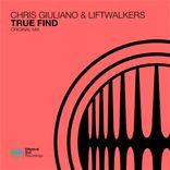 Artwork voor "True Find"